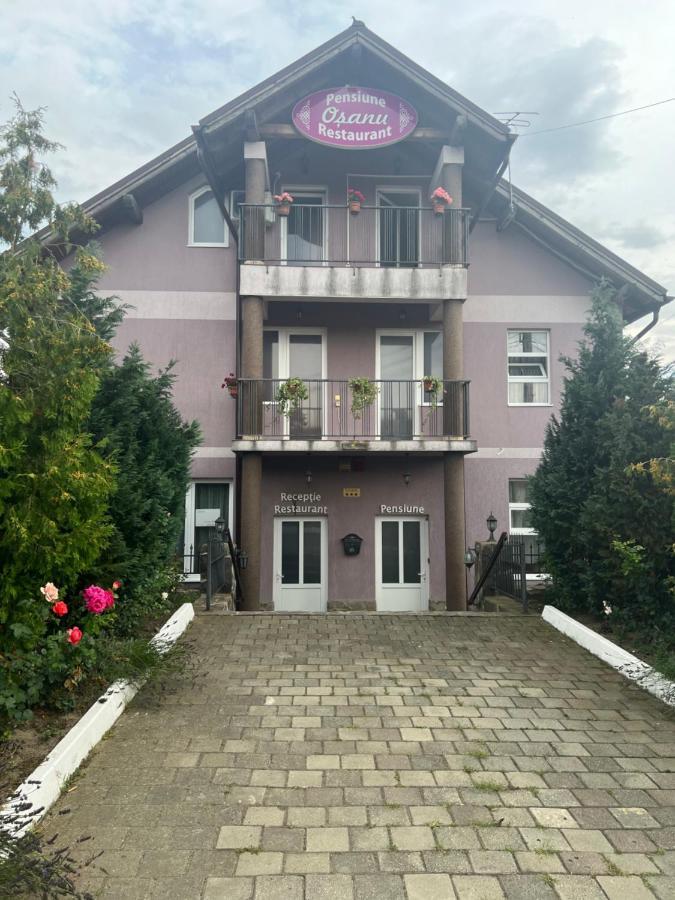 Pensiune Osanu Sibiu Exteriör bild